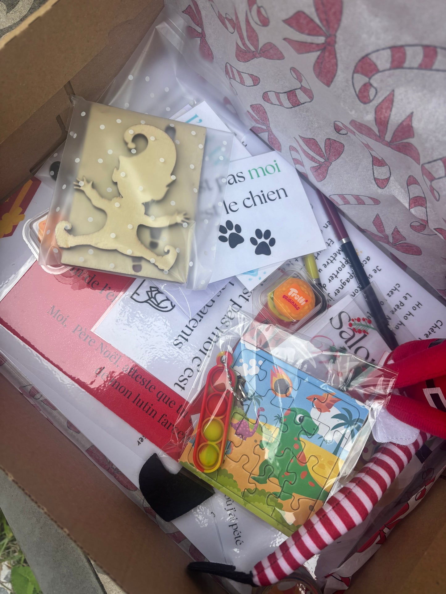 🎄 Box 24 Farces avec 1 Lutin Farceur – Un mois de rires et de magie avant Noël ! 🎁✨